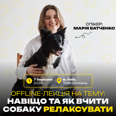 Навіщо та як вчити собаку релаксувати: Offline-лекція в Києві фото, зображення