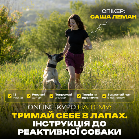 Тримай себе в лапах. Інструкція до реактивної собаки: Онлайн-курс фото, зображення