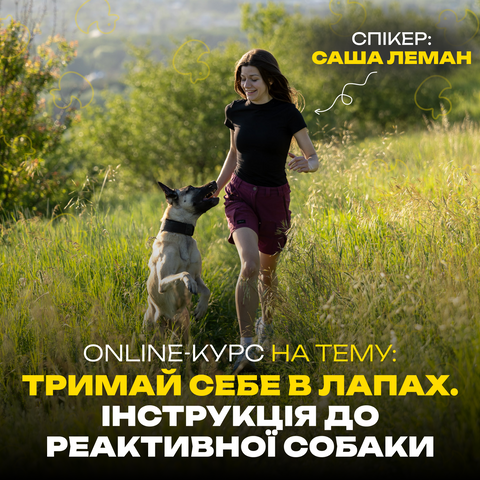 Тримай себе в лапах курс
