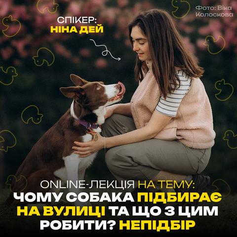 Ніна безкоштовна